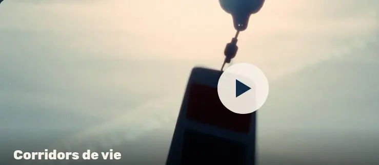 Image de la bande-annonce de « Corridors de vie », le documentaire d'Enedis sur les oiseaux migrateurs